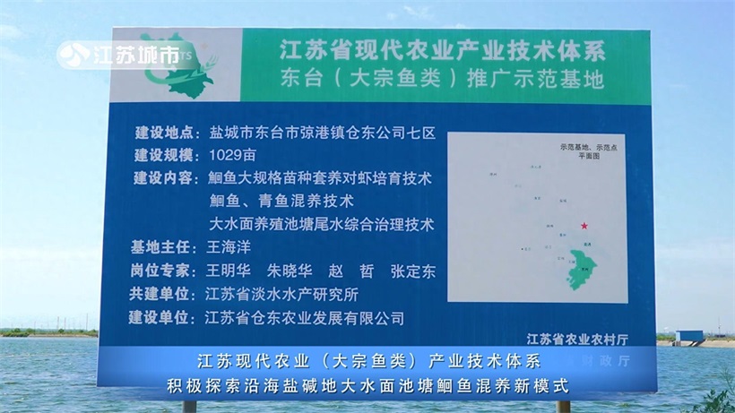 江苏省淡水水产研究所积极探索沿海盐碱地大水面池塘鮰鱼混养新模式(图1)